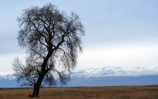 Mysterious tour, tour, cars rented, travel, Kyrgyzstan, cars for rent, Bishkek, Burana, Kochkor, Tash Rabat, Son Kul, 33 parrots Pass, Ala Archa.