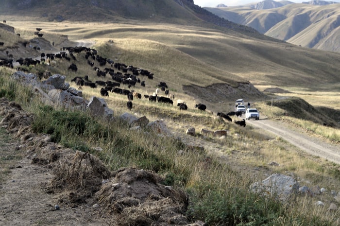 Travel by mountain of Kyrgyzstan, Kyrgyzstan tours.